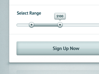 (WIP) Sign Up Form blue button input login radio range select shadow sign tooltip up