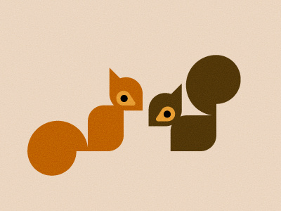 Squirrels animal icon illustration squirrel