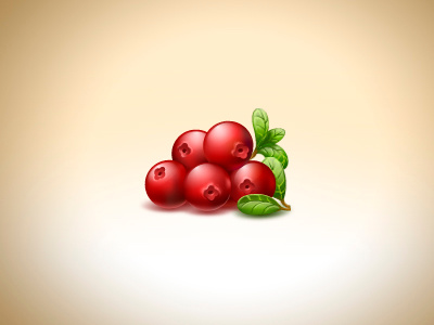 Cranberries food icon