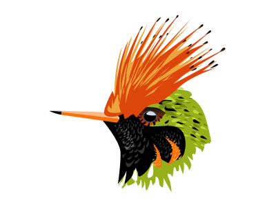 Hummingbird bird black green hummingbird orange vector