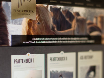 finally live... css horses html photo ui website