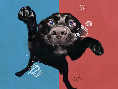 Dog，Illustration illustration，dog