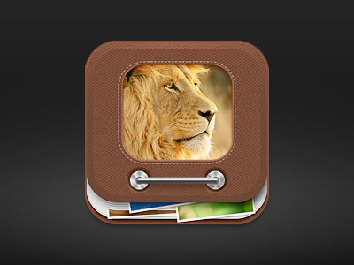 Album album gui icon lion photo