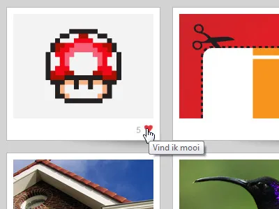 mooirood fotoportfolio htmlcss javascript php