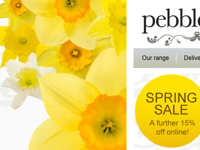 Spring Sale