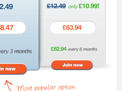 Menu Option Fields creative design design graphic design