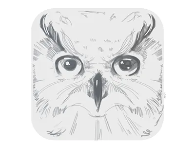 Owl app icon owl sketch