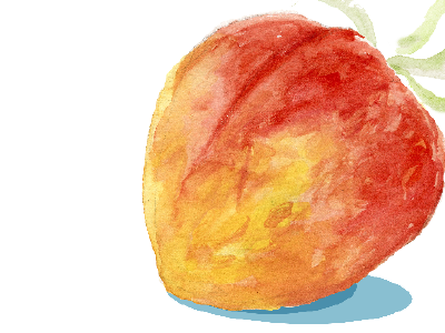 peaches color juicy peaches watercolor