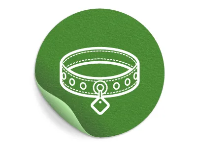 Collar 3 collar dog icon