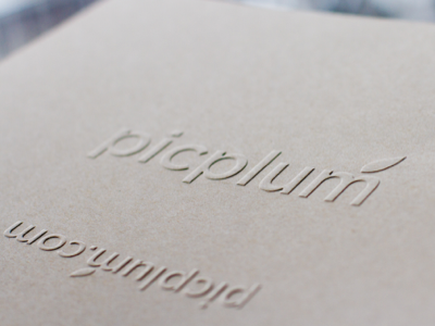 embossed picplum