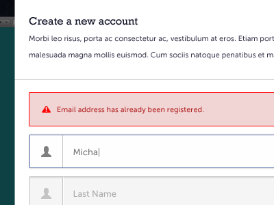 Signup Form error input message signup form test ui