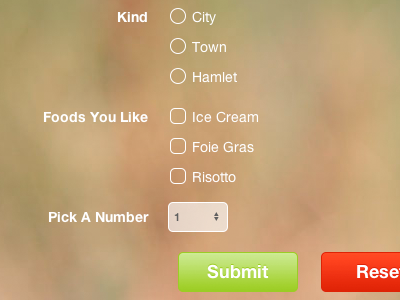 Form Framework button checkbox css form helvetica neue radio