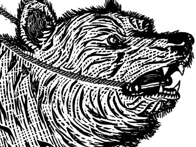 Avett Brothers Poster #2 banjo bear folk gig poster grizzly adams scratchboard zeb love