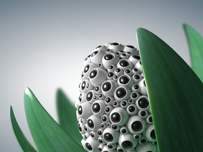 Bloom 3d cinema4d organic plant spring