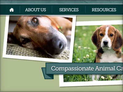 Animal Hospital Website Comp animal hospital museo slab website