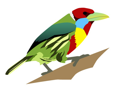 Versicolored Barbet Base Layers barbet bird birds black blue green illustration red texture toucan yellow