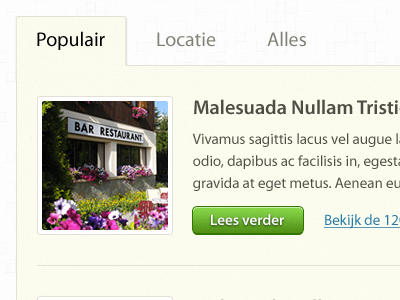 Recipe website content button content green tab