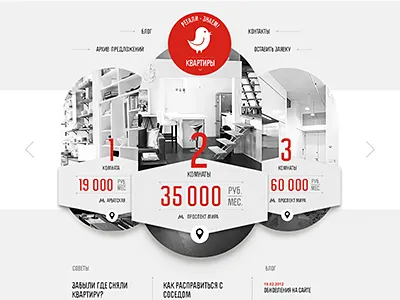 Website bird homepage web webdesign website