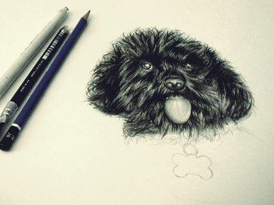 First Shot! dog illustration paper pencil sketch