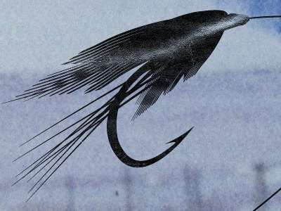 Fly fishing fly illustration