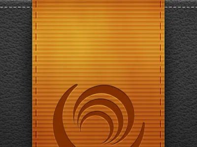 Bible Gateway Splash leather ribbon splash stitch