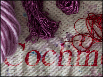 Cochineal Photo Story Design collaboration design dyes graphic design natural organic overlay photo photography project science