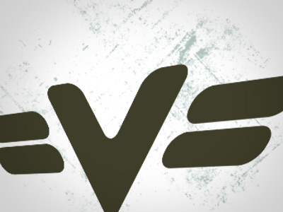 Logo Mark flying vs