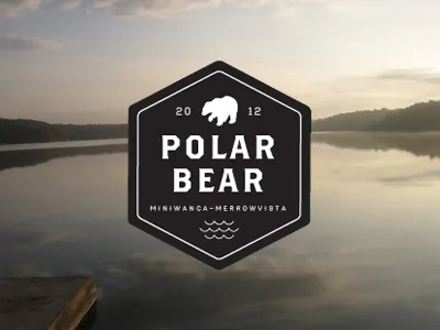 polar bear plunge logo