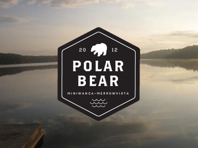 polar bear plunge logo