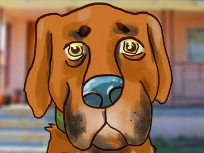 Vigo Sketch animal dog illustration photoshop sketch vigo wacom