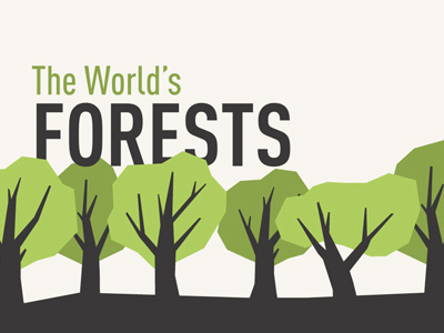 Forests after effects bamboo motion graphics trees vector