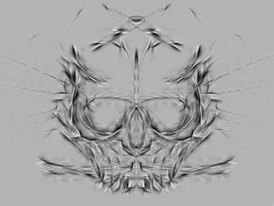 Skull acquaintance sketch skull test zbrush
