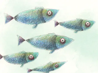 Fishies coloured pencil fish illustration sketch