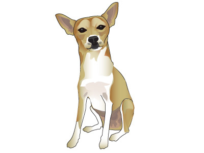 Illustration of one of my dogs