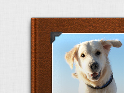 dogbook cover book photo ui web