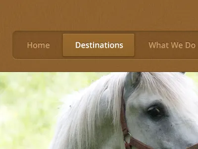 VL Web Navigation nav navigation web website