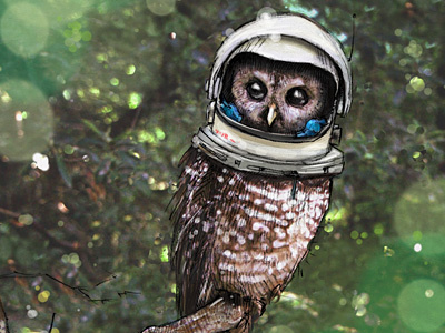 Owlstronaut (cropped) illustration owl space helmet