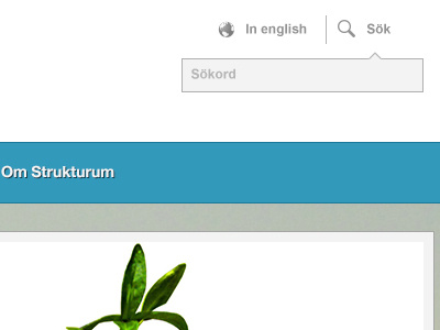 Jokkmokk - Website blueish green web design website