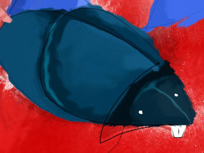 Doodle Stuff doodle paint