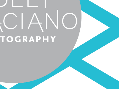 photologo gray identity