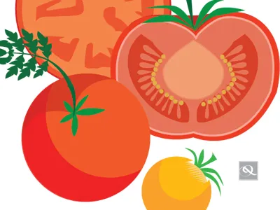 Tomatoes farmers market flat color flowers food fruit mushrooms qcassetti vector vegetables