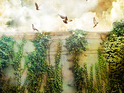 Overgrown 2 album design birds city future photo manipulation plants victory records zeb love