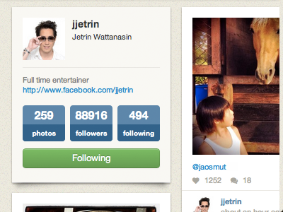 Profile Card on Pinstagram app instagram pinterest profile