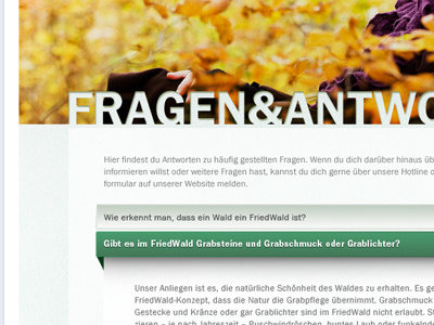 FriedWald Fanpage No 4