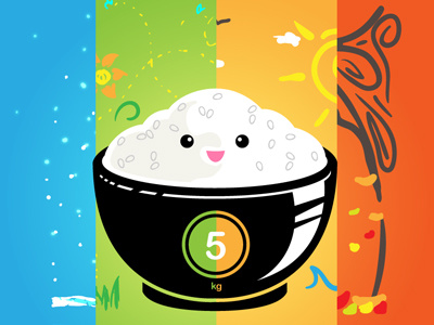 4 Seasons of Rice fall rice spring summer winter
