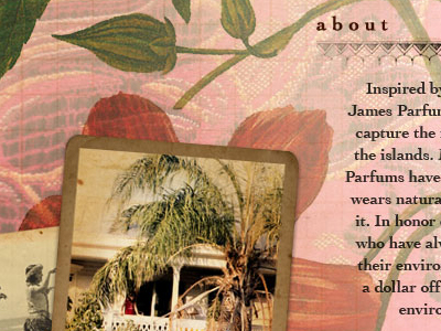 Saffron shot 2 design store type ui web