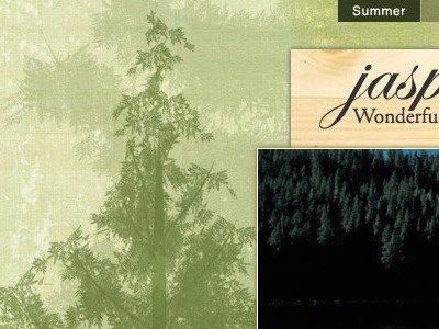 Texture background background green header homepage natural nature texture tree wood