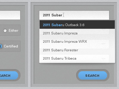 Auto-complete Form autocomplete blue form gray ui