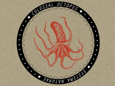 Squid illustration poster print typography wallart