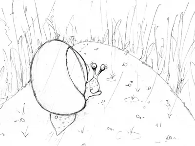 Sally Snail illustration pencil rain sketch snail